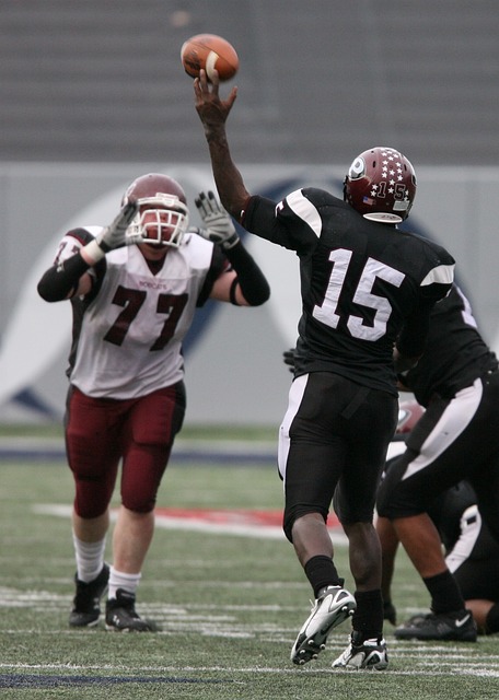 析和历史评 析和历史评