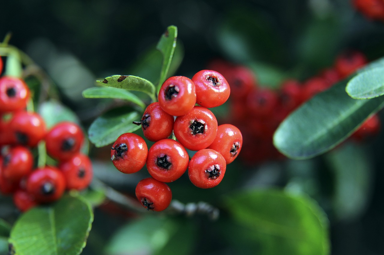 次转换和调 次转换和调