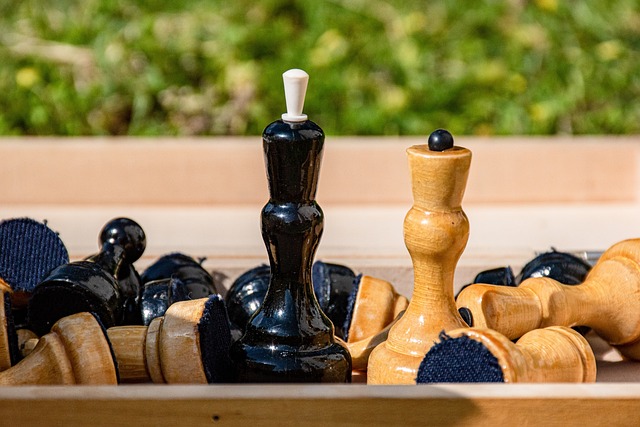 了他的职业 了他的职业