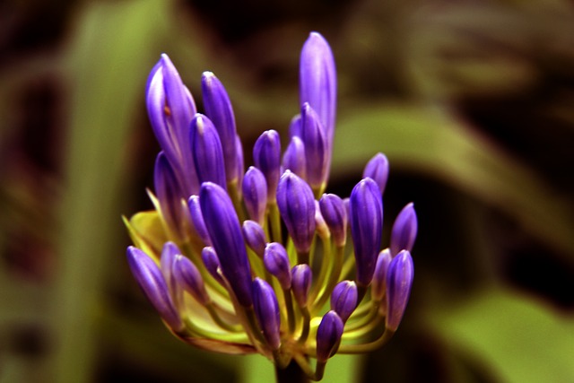 从战略角度 从战略角度