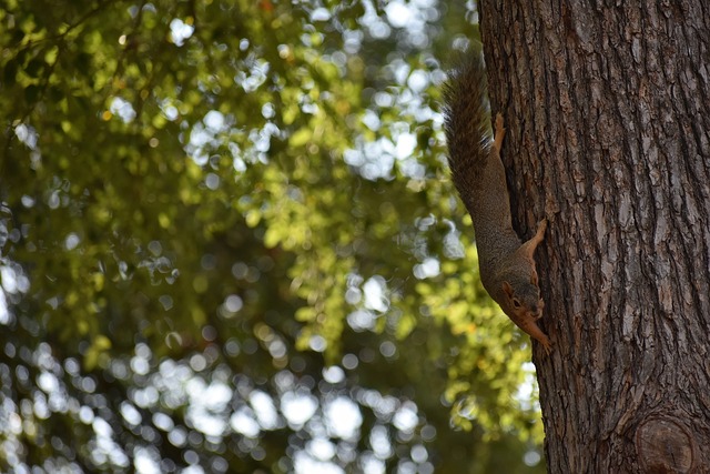 方的节奏 方的节奏