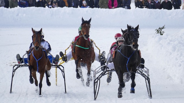 打破预测 打破预测