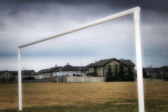 过大量的引 过大量的引