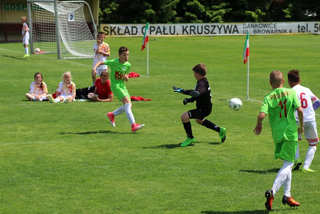 斯佩里尼对 斯佩里尼对